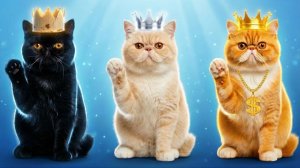 Прячем КОТЕНКА! Лайфхаки для секретной комнаты своими руками, чтобы обезопасить ее 🏠✨