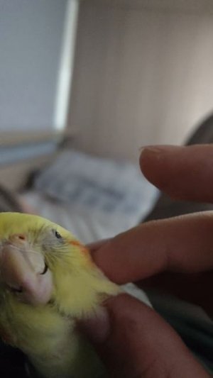 Маш Маш любит меня ❤️