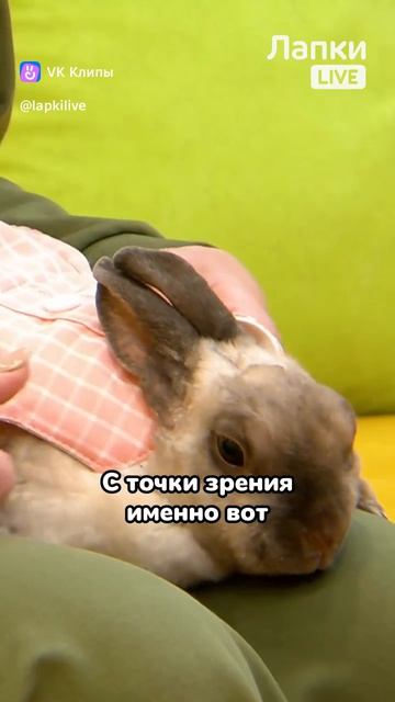 1000027370.mp4