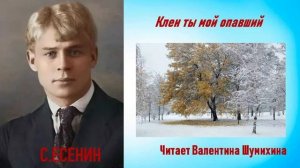 С.Есенин «Клен ты мой опавший...» Читает Валентина Шумихина.