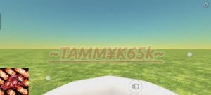 (Мем) Будем кататься на тележке (осторожно маты!)