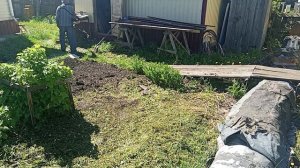 огородные дела как будто бы влог.