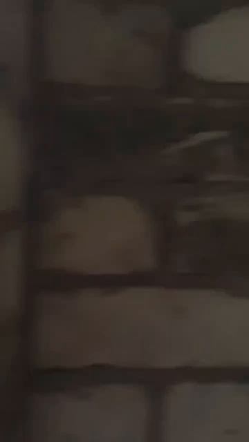 1000434648.mp4 смотреть онлайн