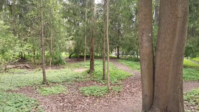 песня Встреча смотреть онлайн