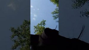 1000009280.mp4