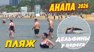 Анапа: Городской пляж и дельфины. Обстановка на море