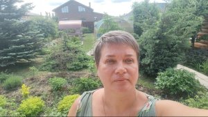 Пасынкую и подвязывать томаты