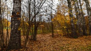 Музыка для Сна. Успокаивающая музыка для сна. Усыпляющая музыка для сна. Релакс музыка для сна