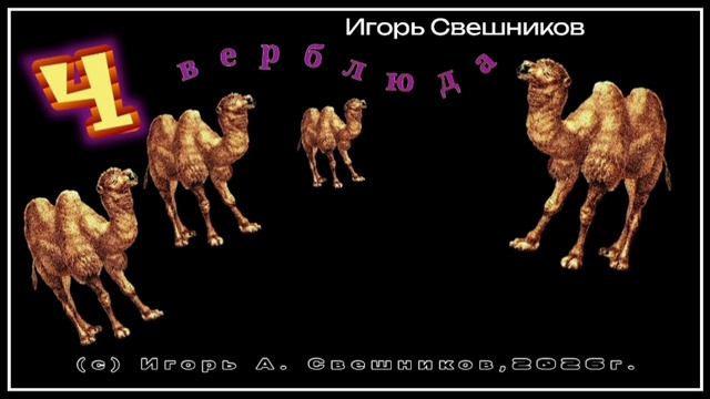 Игорь Свешников - 4 верблюда
