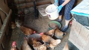День прошёл с пополнением и с потерей.