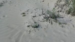 26.04.2026 год гуляем в Анапе по берегу Чёрного моря.