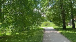 Леночка в Михайловском. 
Съёмка пруда.