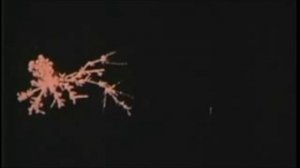 TSAR - Fields Of Rye