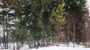 Музыка для Сна. Успокаивающая музыка для сна. Усыпляющая музыка для сна. Релакс музыка для сна