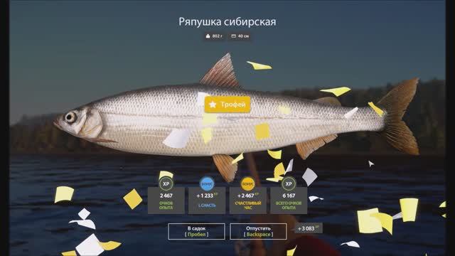 Ряпушка Сибирская, трофей, игра Русская Рыбалка 4 смотреть онлайн