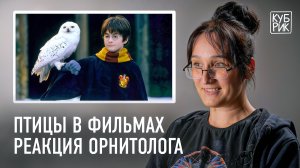 Орнитолог разбирает сцены с птицами в фильмах «Гарри Поттер», «Птицы», «Властелин колец», «Хоббит»