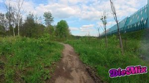 Туннель из Яузы в Лосиный остров