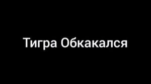 Тигра Обкакался