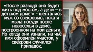 Истории из жизни|Когда свекровь узнала, на чьё имя оформлен участок|Аудио рассказы|Жизненные истории