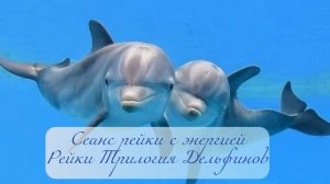сеанс для исцеления с Дельфинами