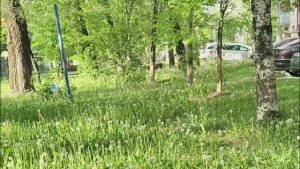 С ТАКИМИ БЛОГЕРАМИ МНЕ НЕ ПО ПУТИ РОТ НА ЗАМОК