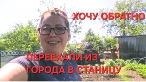 1254 Переезд из города в станицу. Хочу обратно.Каждый день одно и тоже. Первые Заготовки на зиму.