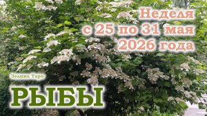 РЫБЫ | ТАРО прогноз на неделю с 25 по 31 мая 2026 года