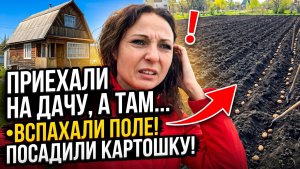 НЕВЕРОЯТНО!!!/ПРИЕХАЛИ НА ДАЧУ, А ТАМ…/ВСПАХАЛИ НАМ ПОЛЕ/ГОСТИ ПОСАДИЛИ НАМ КАРТОШКУ