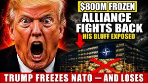 ТРАМП И НАТО РЕАЛЬНЫЕ ЦИФРЫ ПРОТИВ ПОЛИТИЧЕСКИХ МИФОВ О ФИНАНСАХ АЛЬЯНСА
