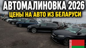 Рынок Автомалиновка в Беларуси: реальные цены и как привезти машину в Россию