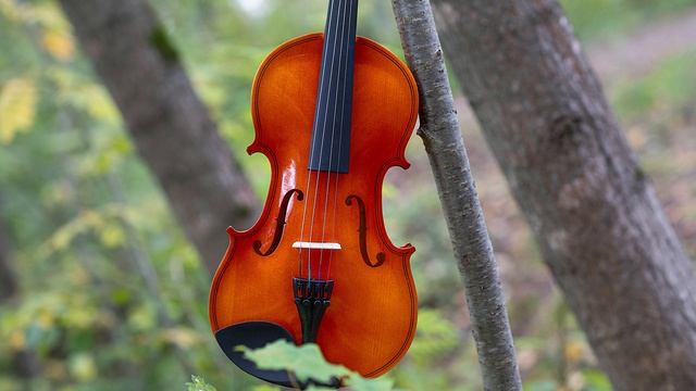 Классическая музыка | Скрипка музыка | Современная классика музыка