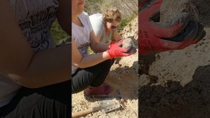 новый поход за агатами