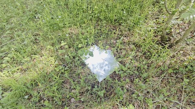 Поддон и зеркало в лесу смотреть онлайн