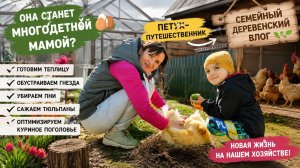 Новые наседки, тайные планы и большая перестройка хозяйства!