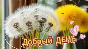 Добрый день: красивые открытки и пожелания хорошего дня