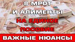 8 МРОТ и Алименты на Единое пособие Важные нюансы
