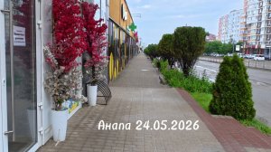 Анапа 24.05.2026