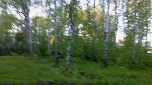Рубрика Широка красота . ЮМОРОК И ПОЗИТИВ