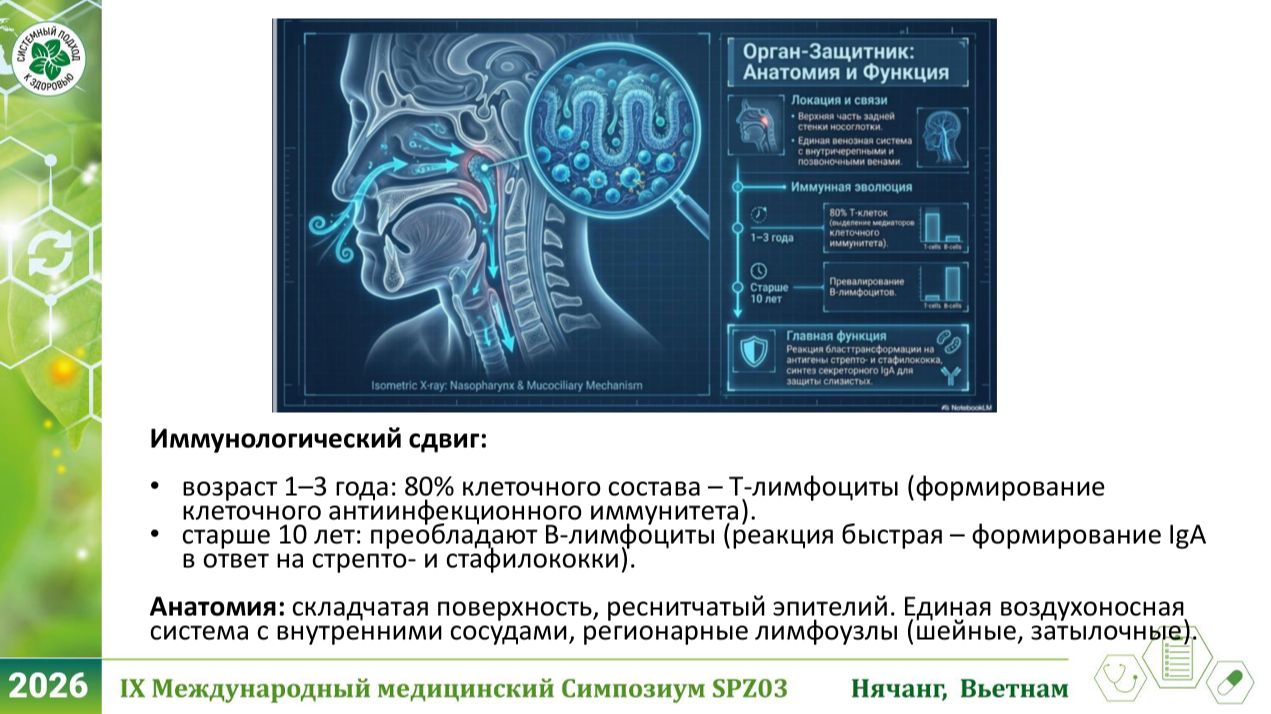Тастанова Айнур. Гипертрофия аденоидов у детей: доказательная тактика лечения и место нутрицевтиков