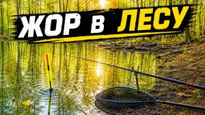 НЕ ДУМАЛ ТАК ПОПАСТЬ! Закинул поплавок в ПОДВОДНЫЙ ЛЕС и ПОПЁРЛО! Рыбалка 2026