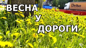 ГОРОДСКИЕ ВИДЫ И ЗВУКИ: МАЙ В МОСКВЕ 2026 🌼🚙