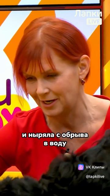 1000027373.mp4