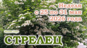 СТРЕЛЕЦ | ТАРО прогноз на неделю с 25 по 31 мая 2026 года