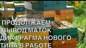 ПРОДОЛЖАЕМ ВЫВОД МАТОК. ДИОФРАГМА НОВОГО ТИПА В РАБОТЕ