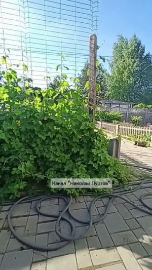 А верёвка всё как новая))