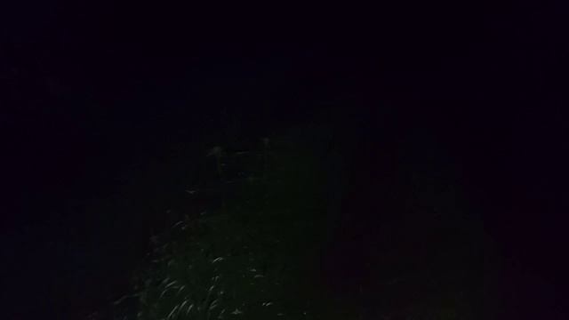 1000119107.mp4