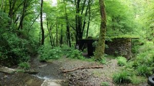 Водопад рядом с центральным Сочи без названия