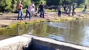 24.05.26 г. РК Волна.