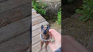 Я сделала влог про мой выпускной!!!!!✨️❤️