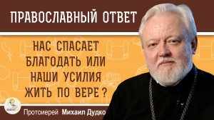 Нас спасают усилия жить по вере или благодать?  Протоиерей Михаил Дудко